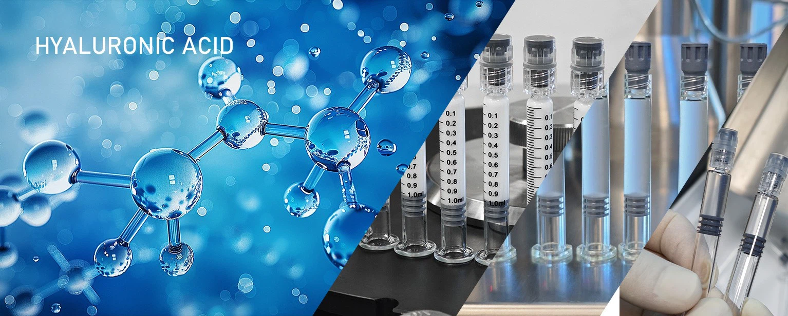 Aseptic Syringe Filling Line Aseptic Syringe Filling Line